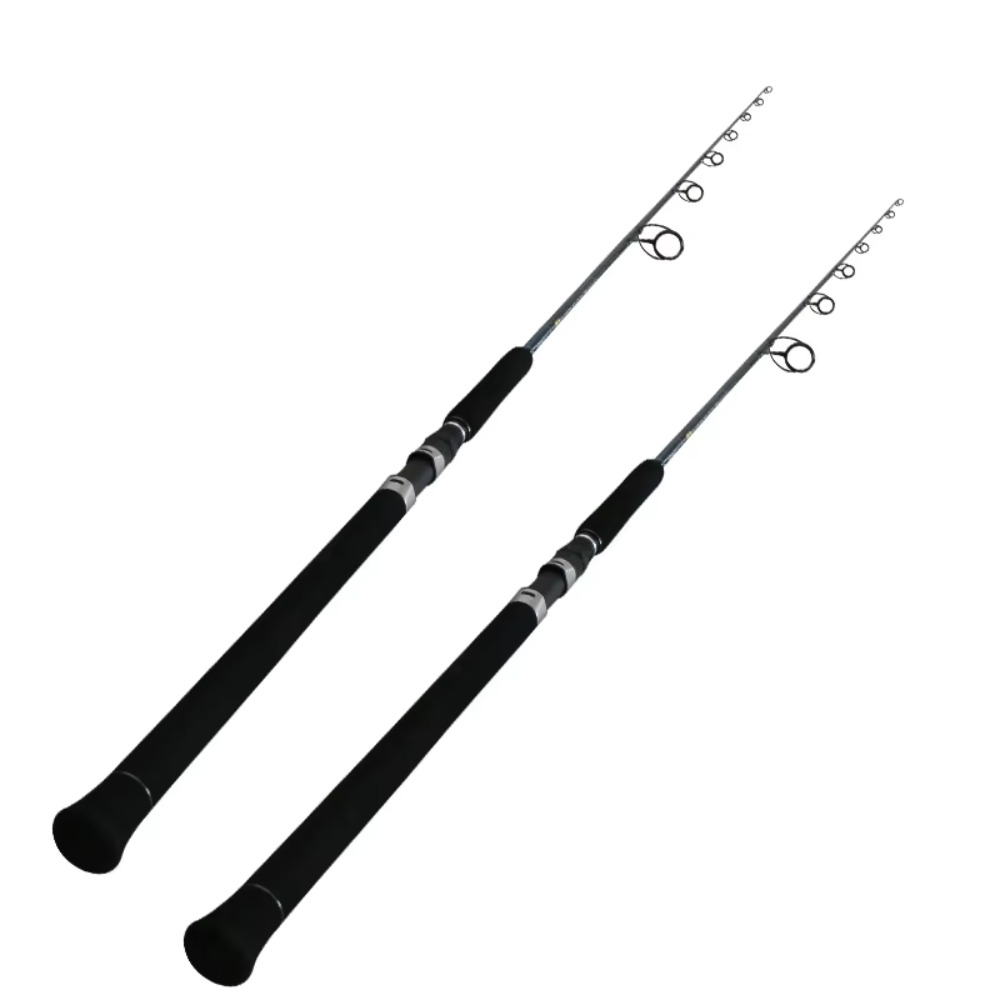 Carbon Fishing Rod - Nuovo Design Canna da Pesca FUJI